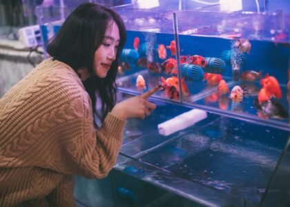 Woman observing goldfish in a tank equipped with blue aquarium circulation pumps, illustrating pump use for healthy water flow.