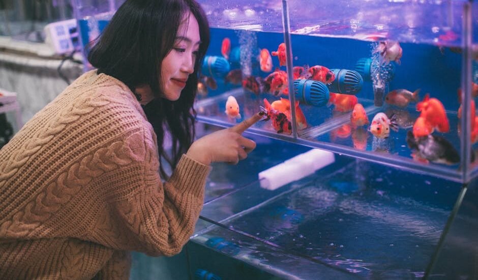 Woman observing goldfish in a tank equipped with blue aquarium circulation pumps, illustrating pump use for healthy water flow.