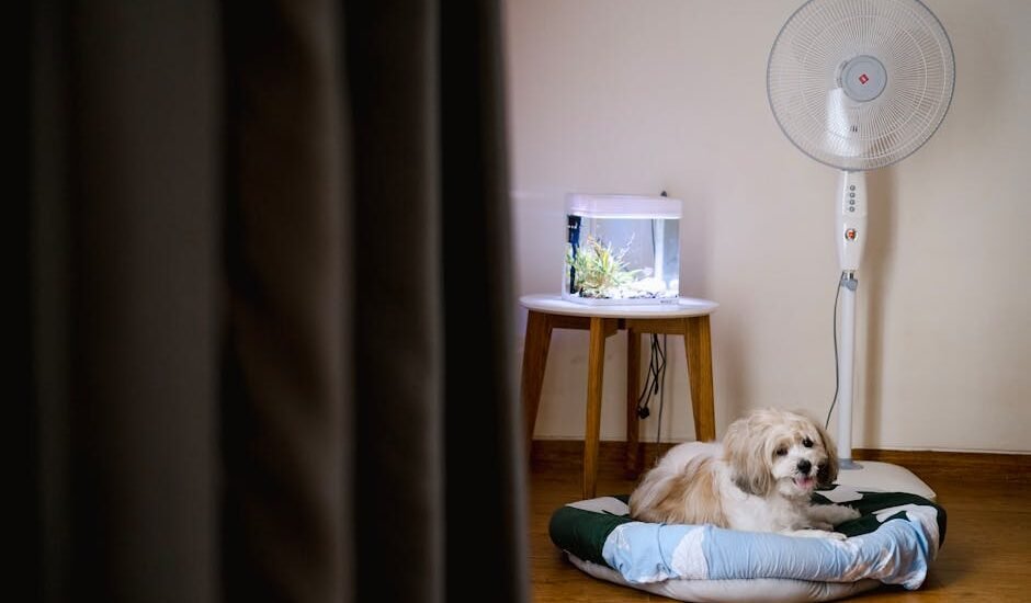 Small aquarium on a wooden table beside a standing fan, illustrating aquarium cooling fan options for home tanks
