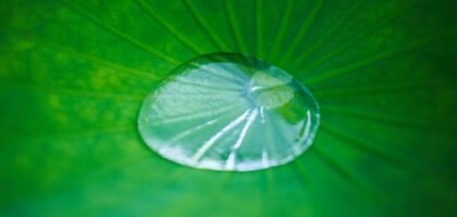 best aquarium co2 drop checker — A serene close-up of a water droplet resting on a green leaf, capturing natural beauty.