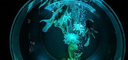 Close-up view of a spherical fish bowl with Betta fish and aquatic plants illuminated in a calming blue light.