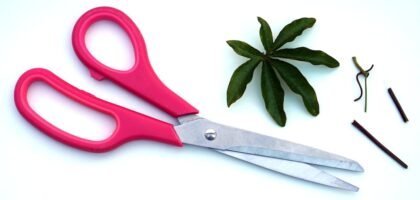 best aquarium plant scissors — Close-up of pink handled scissors beside green leaves on a white background.