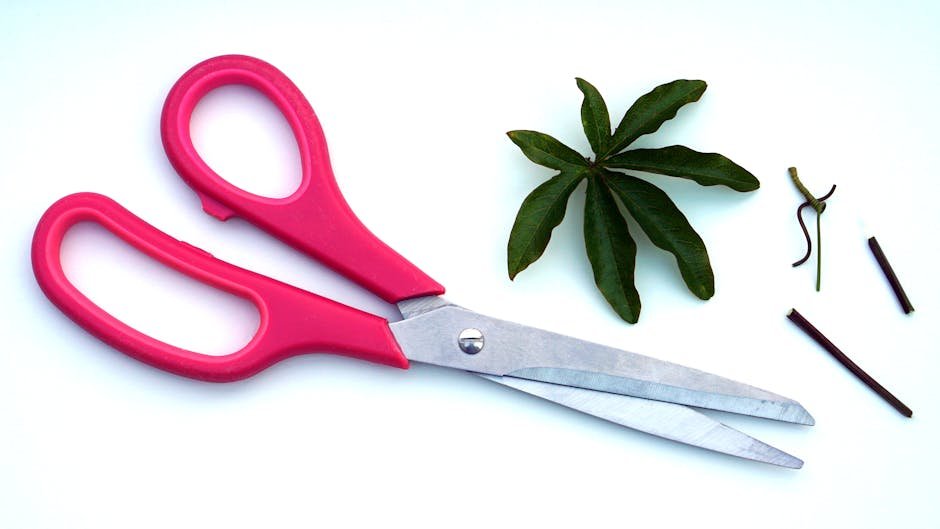 best aquarium plant scissors — Close-up of pink handled scissors beside green leaves on a white background.
