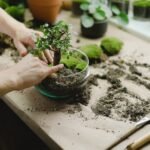 Person arranging a small plant in a glass bowl with soil and tools, illustrating aquarium plant setup for secure planting.