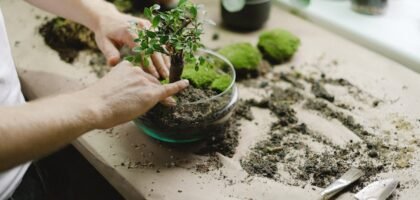 Person arranging a small plant in a glass bowl with soil and tools, illustrating aquarium plant setup for secure planting.