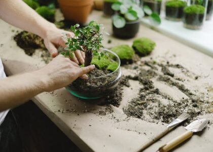 Person arranging a small plant in a glass bowl with soil and tools, illustrating aquarium plant setup for secure planting.