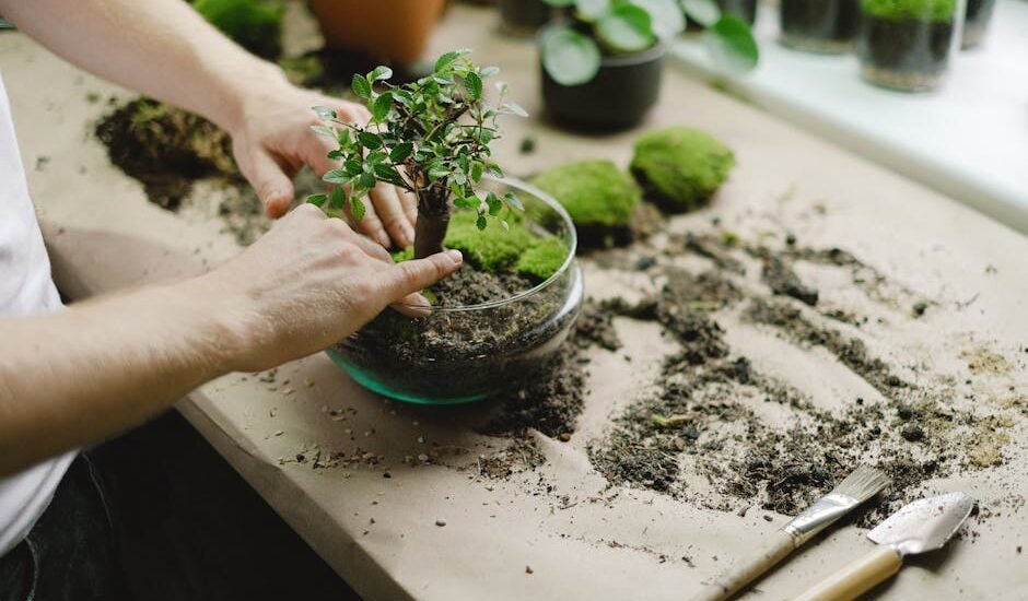 Person arranging a small plant in a glass bowl with soil and tools, illustrating aquarium plant setup for secure planting.