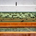 best glass aquarium lid — Outdoor fish tank with various fish; vibrant garden setting, showcasing aquatic life.