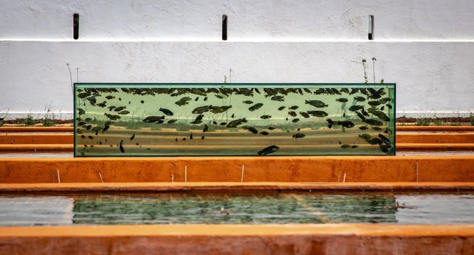 best glass aquarium lid — Outdoor fish tank with various fish; vibrant garden setting, showcasing aquatic life.