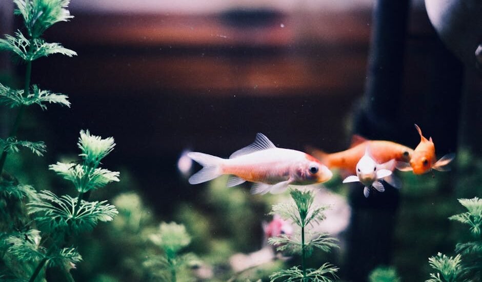 Vibrant goldfish swimming among green plants in a tranquil aquarium scene.