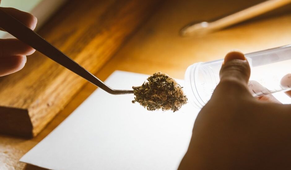 Close-up of aquarium plant tweezers holding a clump of dried plant matter, illustrating tool choice for aquascaping tasks