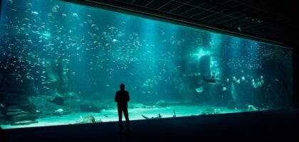 A person stands in front of a massive aquarium display, illustrating the scale of filtration needs discussed in hang-on-back vs canister filter comparisons.