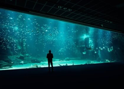 A person stands in front of a massive aquarium display, illustrating the scale of filtration needs discussed in hang-on-back vs canister filter comparisons.
