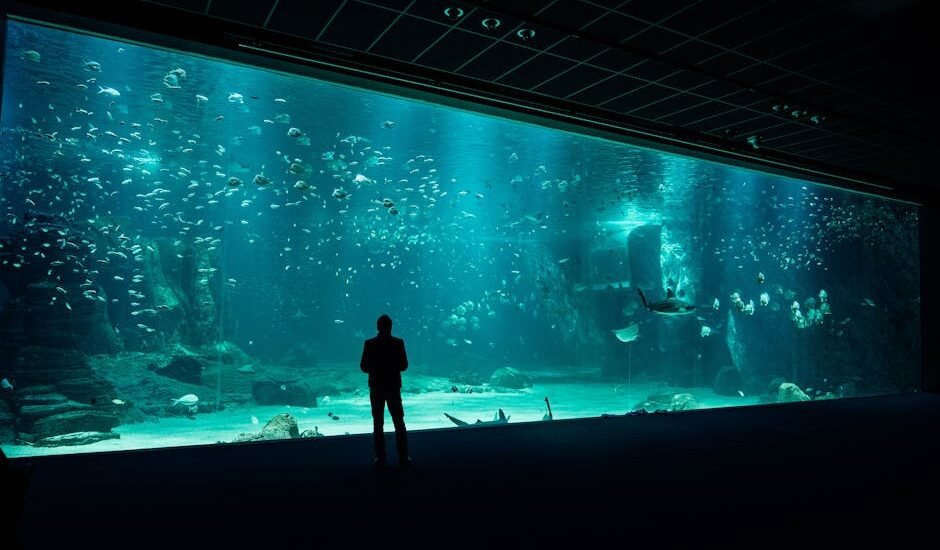 A person stands in front of a massive aquarium display, illustrating the scale of filtration needs discussed in hang-on-back vs canister filter comparisons.