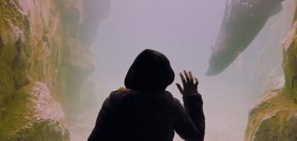 A person in a dark hoodie looks at aquatic life through a glass aquarium, relevant to algae scrapers.