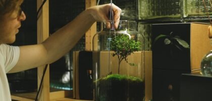 A man uses tweezers to tend a moss terrarium, showcasing a hobbyist's attention to detail indoors.