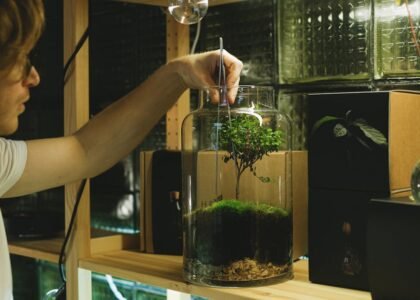 A man uses tweezers to tend a moss terrarium, showcasing a hobbyist's attention to detail indoors.