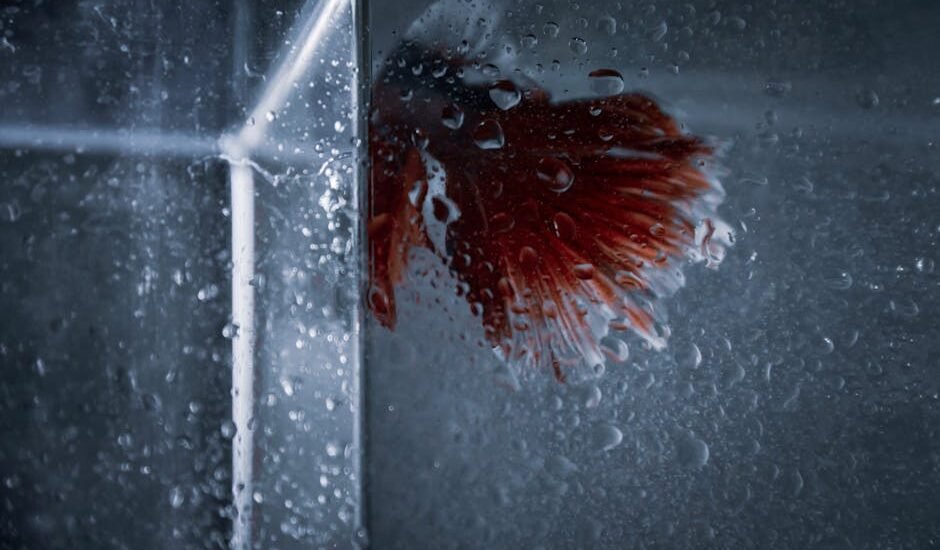 Close-up view of a wet aquarium glass with condensation and a red fish tail, illustrating the environment where CO2 drop checkers are used.