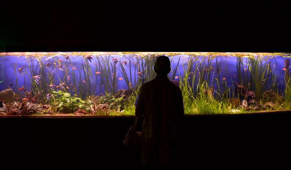 A person looks at a vibrant planted aquarium, highlighting the importance of light timers for tank maintenance.