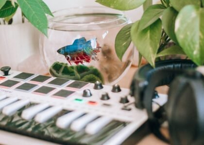 A colorful fish in a bowl surrounded by plants and a keyboard, relating to chemical dosing pumps.