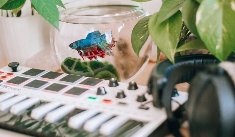 A colorful fish in a bowl surrounded by plants and a keyboard, relating to chemical dosing pumps.