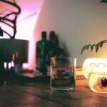 A cozy aquarium setup featuring a clip-on light illuminating a fish bowl.