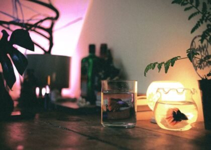 A cozy aquarium setup featuring a clip-on light illuminating a fish bowl.