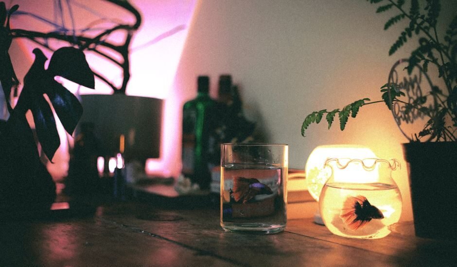 A cozy aquarium setup featuring a clip-on light illuminating a fish bowl.