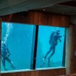 Two divers exploring an aquarium tank, highlighting aquatic life and filtration systems.