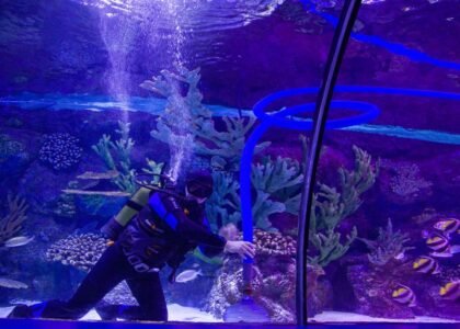 A diver using a water change system in a colorful aquarium environment.