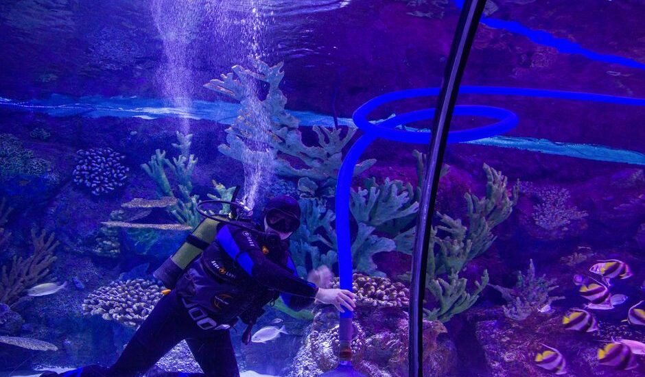 A diver using a water change system in a colorful aquarium environment.