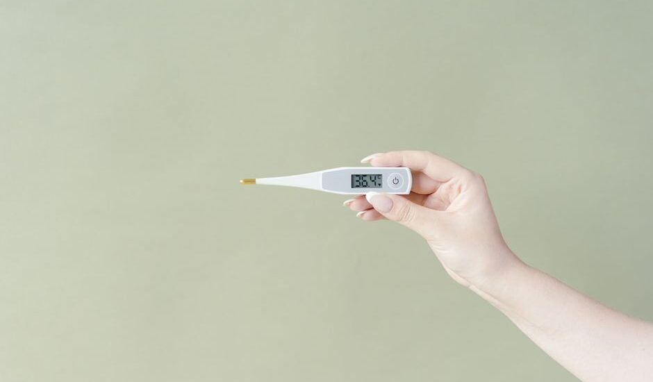A hand holding a digital aquarium thermometer with a probe, relevant to choosing the right thermometer.