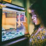 A woman touches the glass of a fish tank, exploring aquarium backgrounds.
