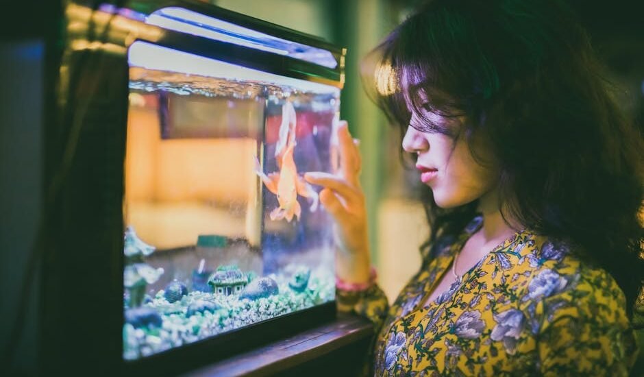 A woman touches the glass of a fish tank, exploring aquarium backgrounds.
