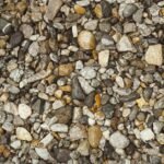 Coarse gravel substrate shown, relevant to fine gravel vs coarse gravel discussion.