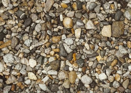 Coarse gravel substrate shown, relevant to fine gravel vs coarse gravel discussion.
