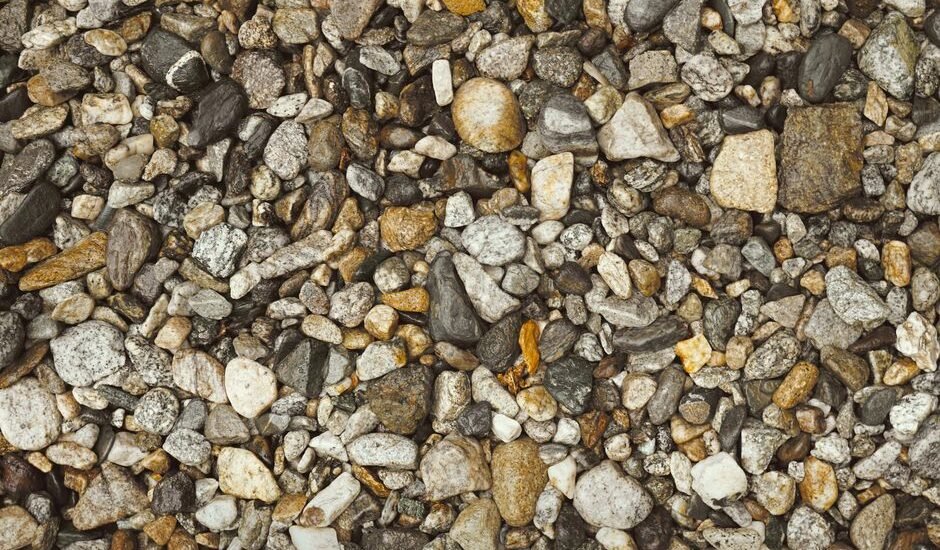 Coarse gravel substrate shown, relevant to fine gravel vs coarse gravel discussion.