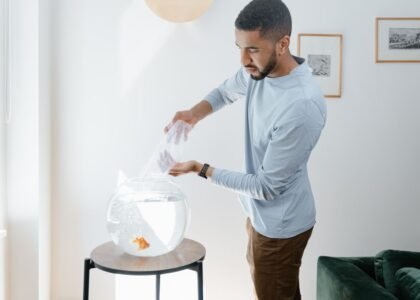 A man adds water to a frameless aquarium on a stand, showcasing modern design.