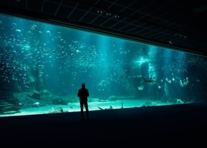A large aquarium filled with various fish, illustrating aquatic life relevant to CO2 diffuser cleaning.