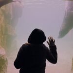 A person looking at aquatic life through a glass aquarium, related to installing an aquarium heater.