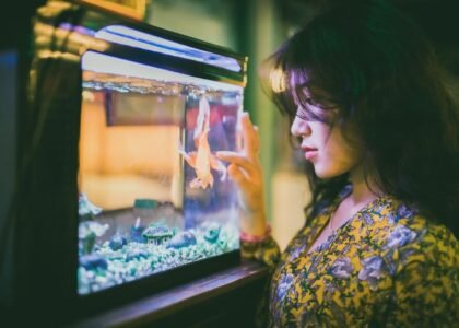 A woman examines her aquarium while learning about filter media replacement.