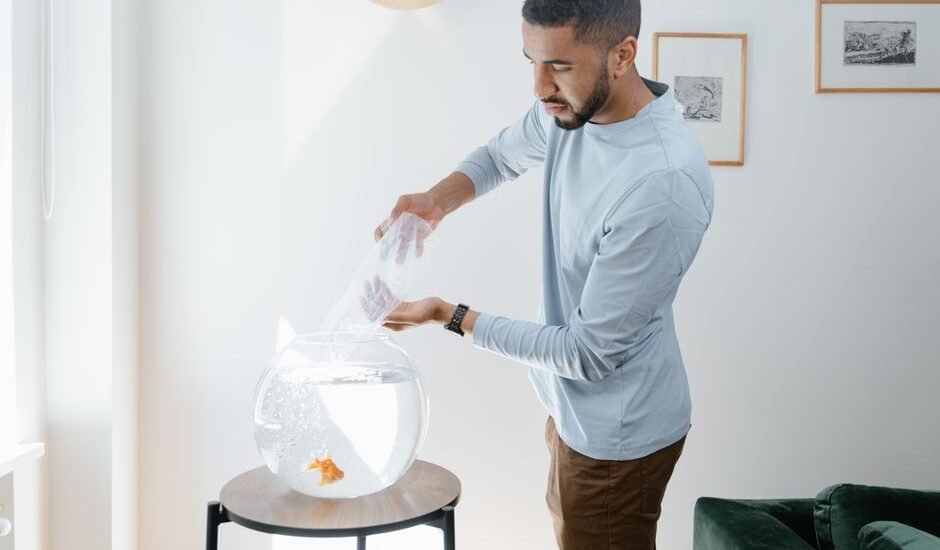 A man pouring water into a fishbowl, illustrating the importance of water quality testing for aquariums.
