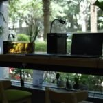 A workspace featuring an aquarium with an inline heater and a laptop, relevant to best inline aquarium heaters.