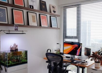 A small aquarium kit with plants and wood in a stylish office setting, relevant to small aquarium kits.