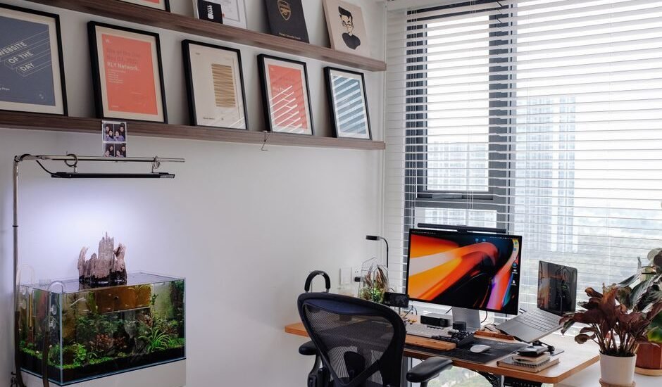A small aquarium kit with plants and wood in a stylish office setting, relevant to small aquarium kits.