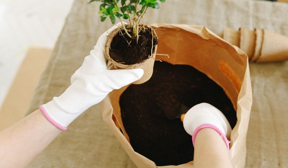 Hands wearing gloves holding a plant pot above a bag of substrate, relevant to rinsing new aquarium sand.